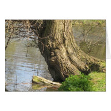 Homme d'arbre carte