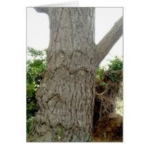 Homme d'arbre carte