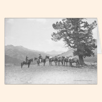 Hommes avec chevaux de bât regardant au-dessus d'u cartes