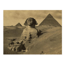 Hommes et chameaux sur la patte du sphinx, pyramid carte postale