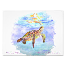 Honu, Maui                         Tamara… Photographies