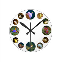 Horloge de Nudibranch