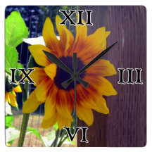 Horloge murale carrée de Fencepost de tournesol