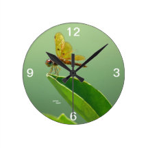 Horloge murale orange de libellule