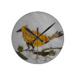 Horloge organique d'Oiseau-Mur