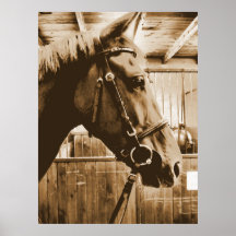 horsefresco posters