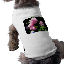 Hortensia en soleil manteaux pour chien