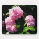 Hortensia en soleil tapis de souris