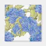 Hortensia Magnets