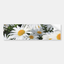 Horticulture de marguerite blanche autocollant pour voiture