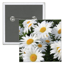 Horticulture de marguerite blanche badges