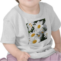 Horticulture de marguerite blanche t-shirts