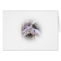 hosta carte de vœux