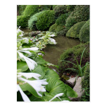Hosta dans un jardin de zen carte postale