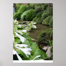Hosta dans un jardin de zen posters