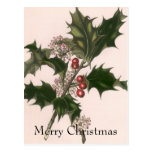 Houx de Noël Cartes Postales