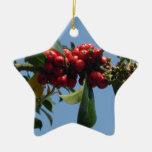 HOUX - DÉCORATION DE NOËL