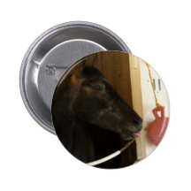 Huit belles pin's