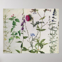 Huit études des fleurs sauvages affiche
