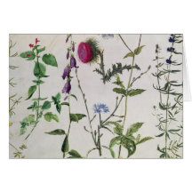 Huit études des fleurs sauvages cartes de vœux