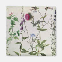 Huit études des fleurs sauvages aimants pour réfrigérateur