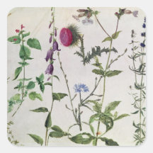 Huit études des fleurs sauvages stickers carrés
