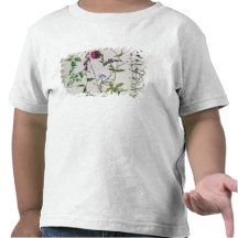Huit études des fleurs sauvages t-shirts