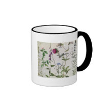 Huit études des fleurs sauvages tasse