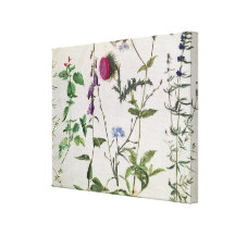 Huit études des fleurs sauvages toiles tendues sur châssis