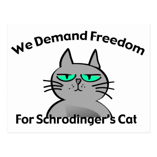 Chat De Schrodinger Pour Les Nuls Humour drôle de geek du chat de Schrodinger Carte Postale | Zazzle