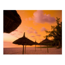 Huttes de plage de style de Palapa au lever de sol Carte Postale