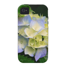 Hydrangeas.jpg Coque iPhone 4/4S