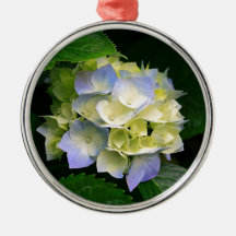 Hydrangeas.jpg Ornements De Noël