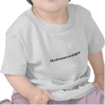 hydrometeorologist t-shirt