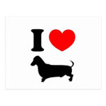 I teckel de coeur cartes postales