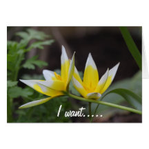 i want you cartes de vœux