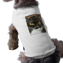 Ianto T-shirts Pour Toutous