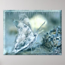 Ice_Butterfly Posters