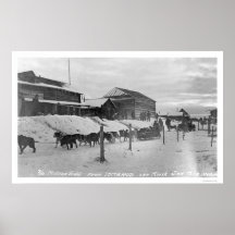 Iditarod Alaska Birdseye 1914 Affiches
