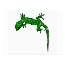 iguane cartes postales