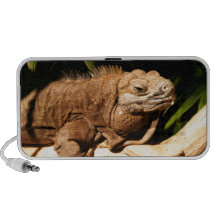 Iguane jamaïcain mis en danger haut-parleur portable