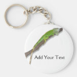 Iguane vert sur Keychain blanc Porte-clés