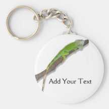 Iguane vert sur Keychain blanc Porte-clés