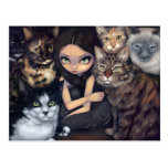 "Il est tout carte postale au sujet de chats" cartes postales