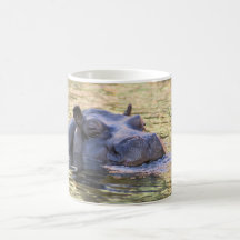 il y a un hippopotame sur ma tasse !