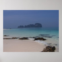 Île de moustique affiches