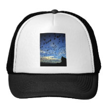 Île de St George, îles de Pribilof, mer de Béring Casquette De Camionneur