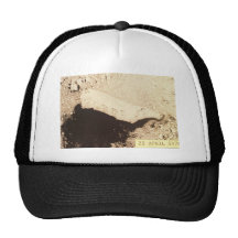 Île de St Matthew, mer de Béring Casquettes De Camionneur