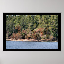 Île Shoreline Affiches