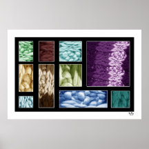 ILLUSION #08/P DE COULEUR POSTERS
